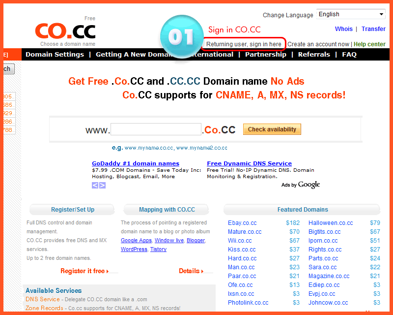 Langkah pertama custom domain