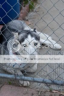 IMAGE: http://i380.photobucket.com/albums/oo243/SUB1IM388/20090312-_MG_2051.jpg