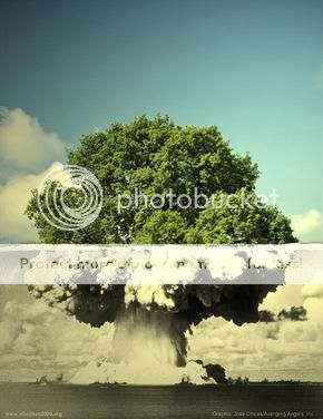 tree-bomb.jpg Photography image by bby33_photos
