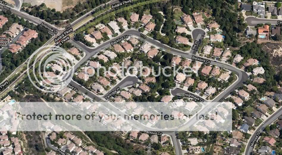 Homes for Sale in Avocet Avocet Homes for Sale