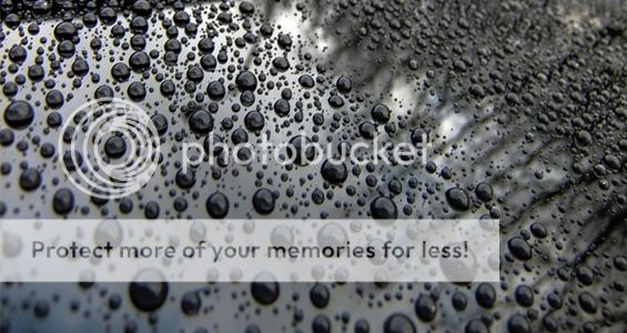 photo Untitled-bv3.jpg