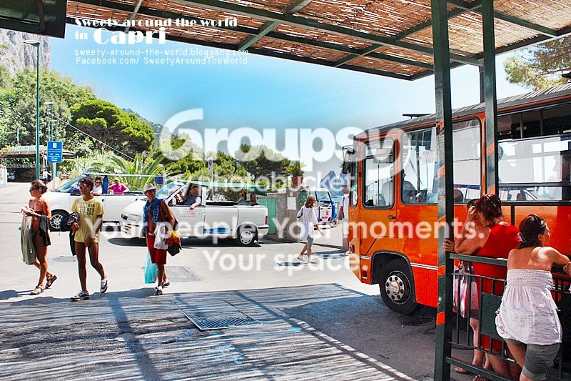  photo 8_7934.jpg
