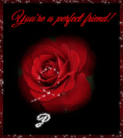 0_friends_perfect_rose.gif